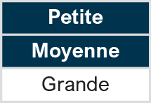 Capitalisation: Petite